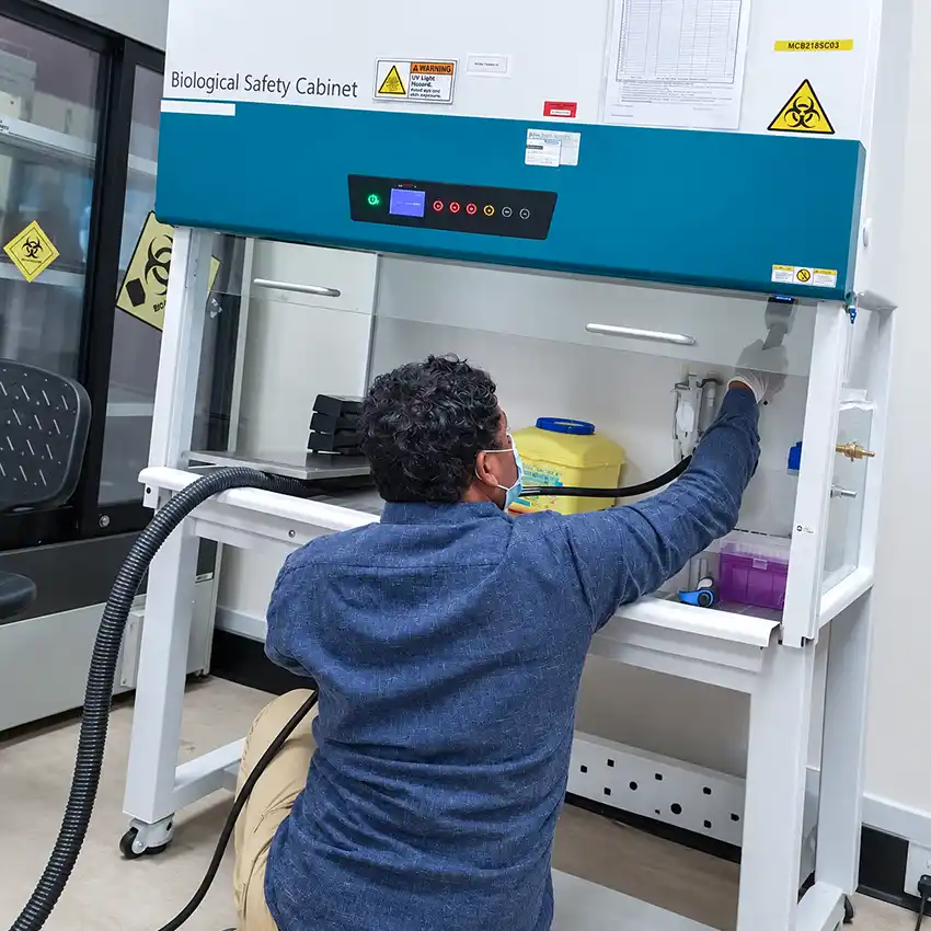 What Is Biosafety Cabinet Calibration